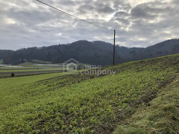 Über 1 ha Grund mit Bauland nahe Jennersdorf