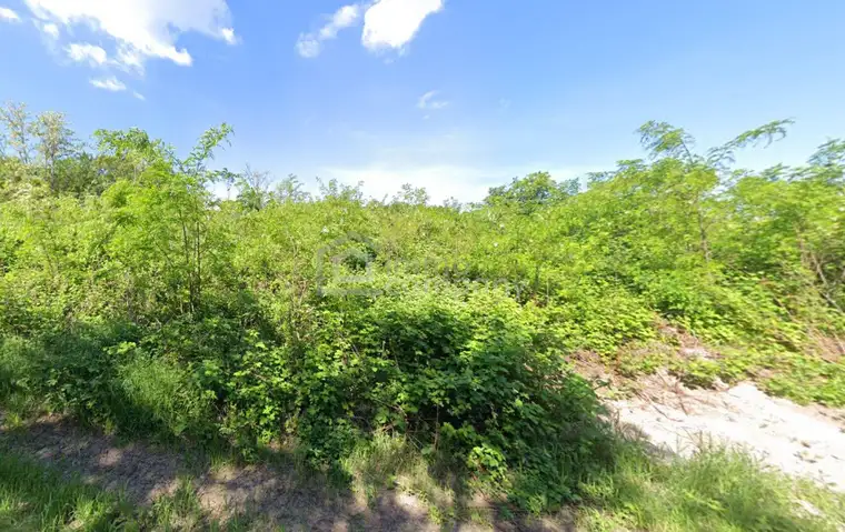 Traumhaftes Eigenheim: Baugrund in Sankt Margarethen, Burgenland - 1835m² für nur 398.000,00 €!
