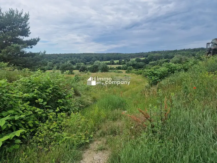 Perfektes Grundstück für Pferdeliebhaber - ca. 7250m² paradiesisches Potential im Burgenland!