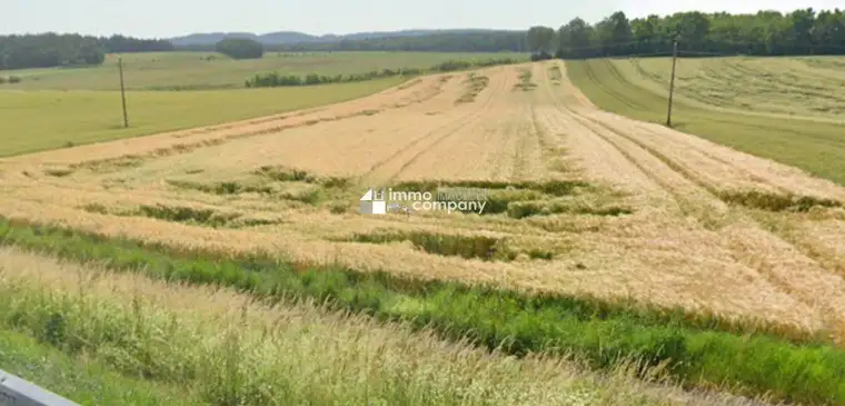 Naturnah und ertragreich: Landwirtschaftliche Fläche in Kaisersdorf, Burgenland für nur 220.000,00 €!