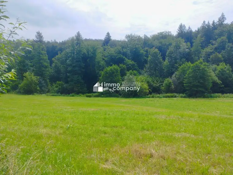 Traumhaftes Baugrundstück in Eggersdorf - bauen Sie Ihr Eigenheim in der grünen Steiermark!
