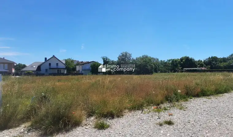 Großer Baugrund in zentraler Lage