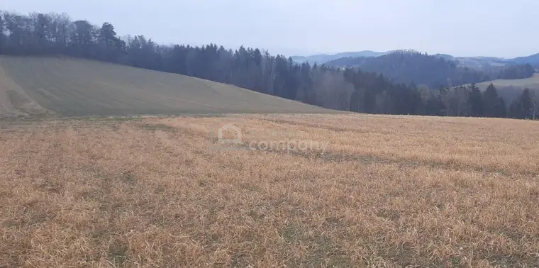 Landwirtschaftliche Nutzfläche in Wiesmath