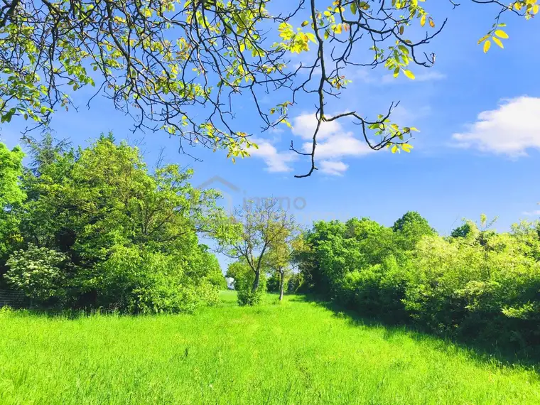 Baugrund 1 in Höhenlage am Naturschutzgebiet