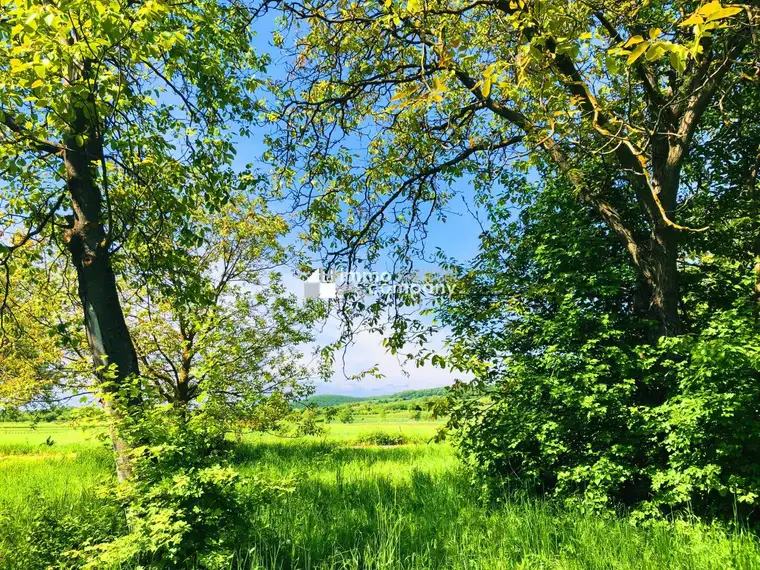 Baugrund 2 in Höhenlage am Naturschutzgebiet 