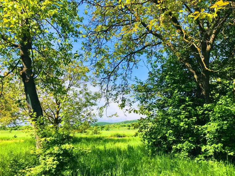 Baugrund 2 in Höhenlage am Naturschutzgebiet 