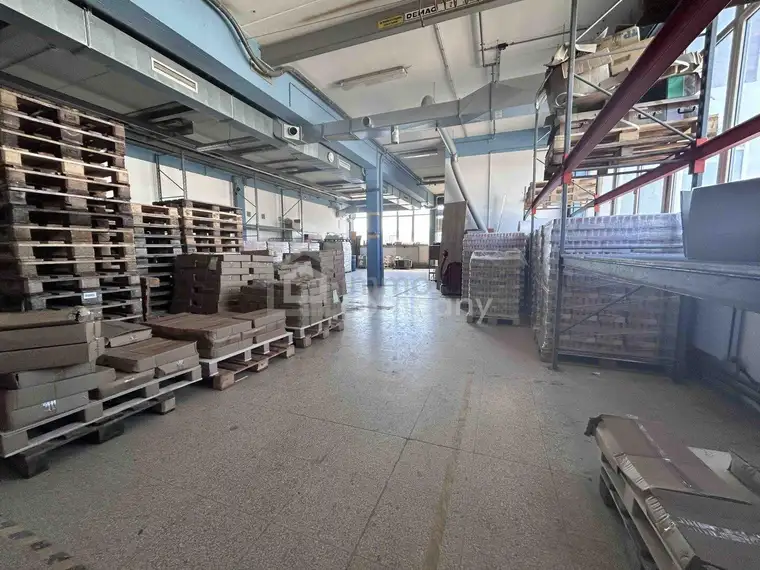 Attraktives (Gewerbe-)Lager mit Lastenlift, Büro und Parkplätze (OG, 234qm)
