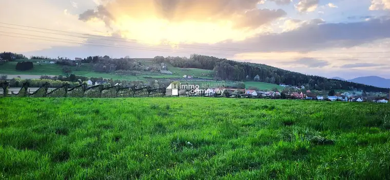 Bilderbuch Weitblick! Das Beste aus zwei Welten!