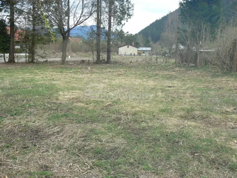 Traumhaftes Baugrundstück in Neuberg an der Mürz: 4701m² mit herrlichem Grünblick!
