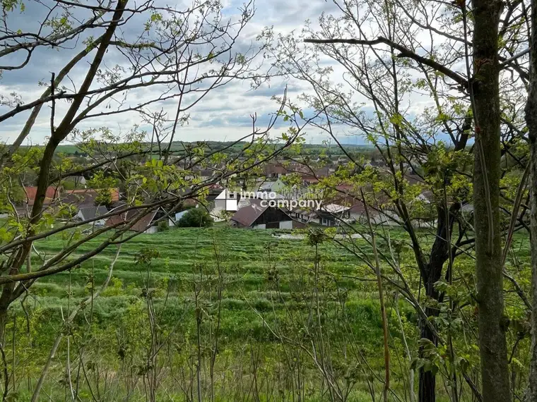 Verborgener Schatz im Reintal - ein Weinviertler Wohnjuwel mit Potenzial