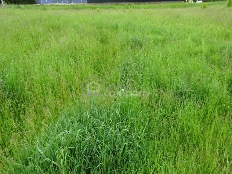 Traumhaftes Grundstück für 2 Wohneinheiten in Horn: 929m² mit Grünblick/ NEUER PREIS 189.000 €!