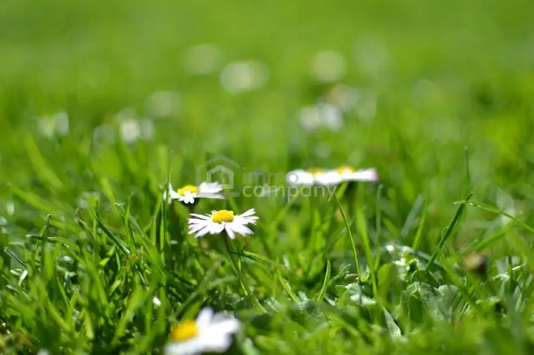Günstiges BAUGRUNDSTÜCK in Sarasdorf - aufgeschlossen!