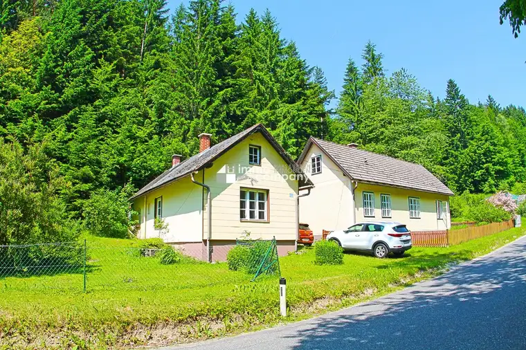 Renovierungsbedürftige Landhäuser mit viel Grund - Gesamtfläche 4032 m² !!! Renovierung und Schönheitsreparaturen sind erforderlich, dennoch sofort beziehbar