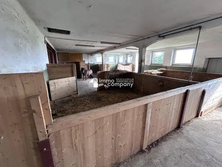 Das Glück der Erde liegt am Rücken der Pferde I Selbstversorger-Stall nahe Oberndorf - ca. 8.000qm I +5 Boxen I Koppel I 500 EUR Miete!