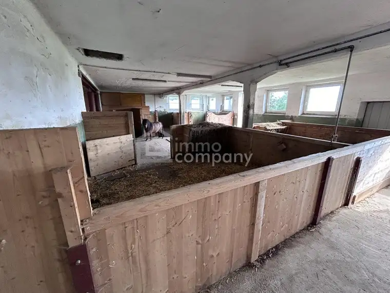 Das Glück der Erde liegt am Rücken der Pferde I Selbstversorger-Stall nahe Oberndorf - ca. 8.000qm I +5 Boxen I Koppel I 500 EUR Miete!