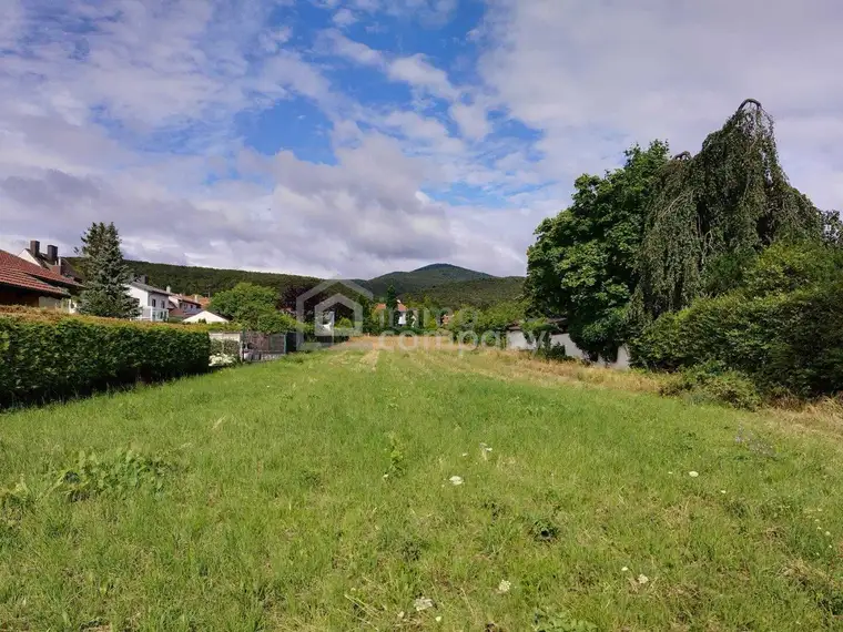 Baugrund mit Fernblick in die Weinberge: 1100 m² für Ihr Traumhaus in exklusiver Grünruhelage - 20 Minuten nach Wien