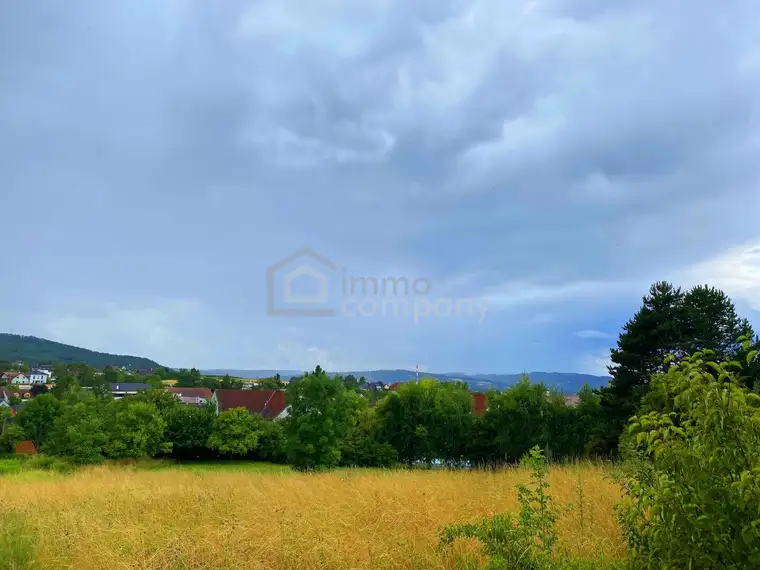 Die Sensation am Bisamberg