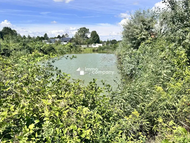 Traumhaftes Grünland Grundstück mit Fischteich in Prellenkirchen 18064m2 – Ihr Platz für Visionen!