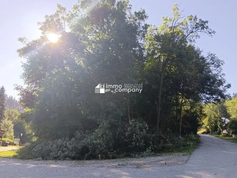 Traumhaftes Baugrundstück am Semmering – 1546 m² mit Berg- und Grünblick!