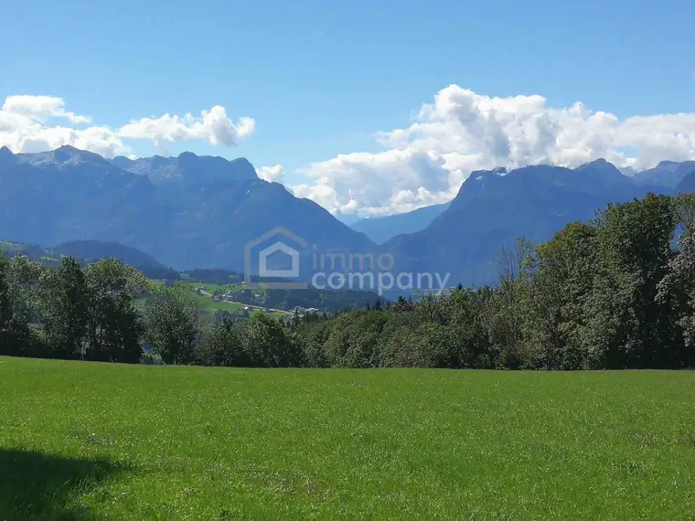 Mag. (FH) Julia Jung, Immo-Company Haas & Urban Immobilien GmbH