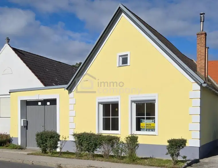 Steffen Berr, Immo-Company Haas & Urban Immobilien GmbH