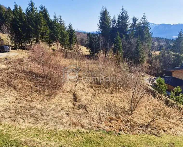 Ihr Platz über den Wolken: Sonniges Grundstück in Thalgau mit Bergpanorama!