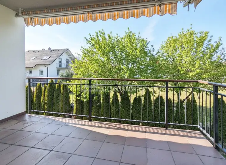 Katharina Wiser, Immo-Company Haas & Urban Immobilien GmbH