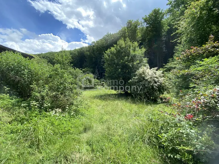 Sonniges Grundstück mit Teilungsoption und Altbestand in Weidlingbach
