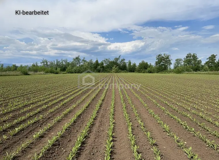Großes 2.944m² Landwirtschafts-Grundstück in Sollenau zu mieten – Top Lage!