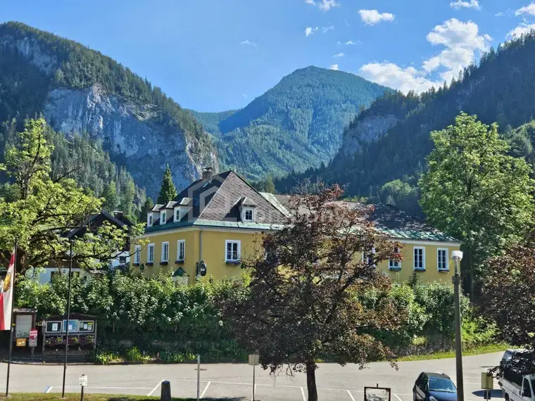 August Knittl-Frank, Immo-Company Haas & Urban Immobilien GmbH