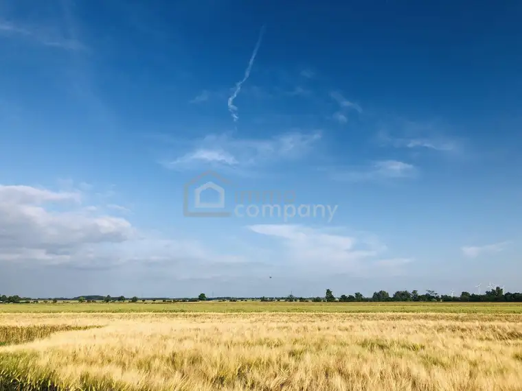 Achtung Preissenkung ! Landwirtschaftliche Nutzfläche