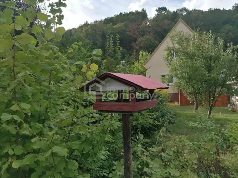 Charmantes Einfamilienhaus mit Garage, Werkstatt &amp; großem Nebengebäude in Gloggnitz
