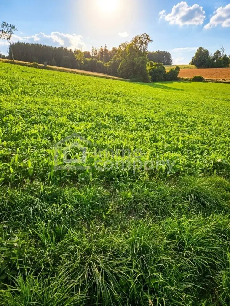 Attraktive Ackerfläche mit 3,6 ha in Kremsmünster