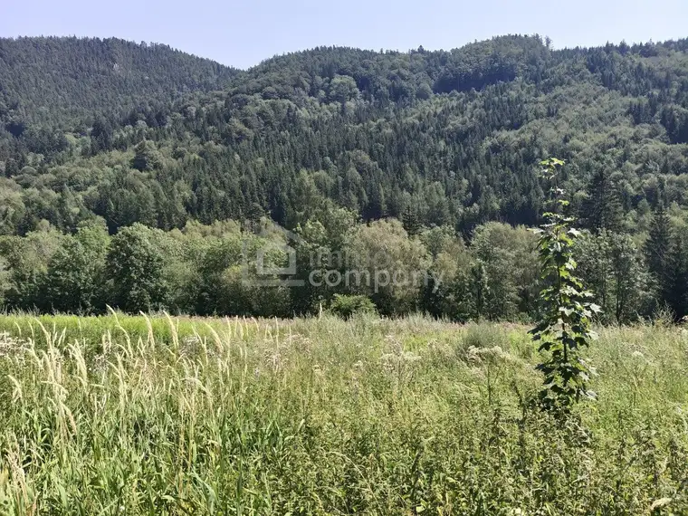 Ihr eigenes Grundstück am Semmering
