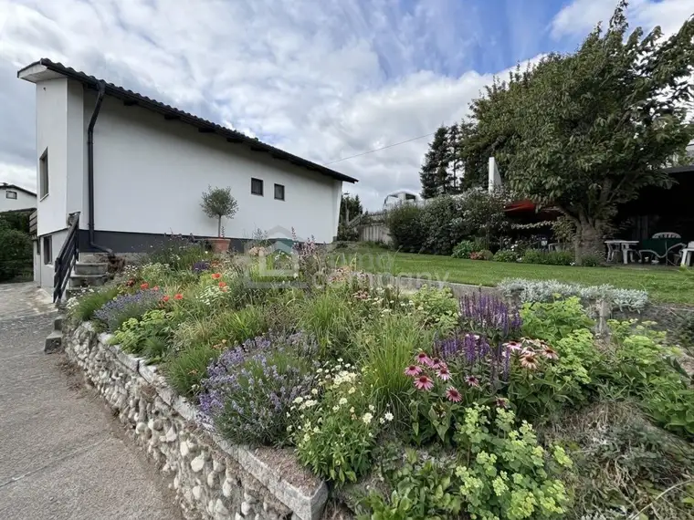 Rojda Ronahi Mousawi, Immo-Company Haas & Urban Immobilien GmbH