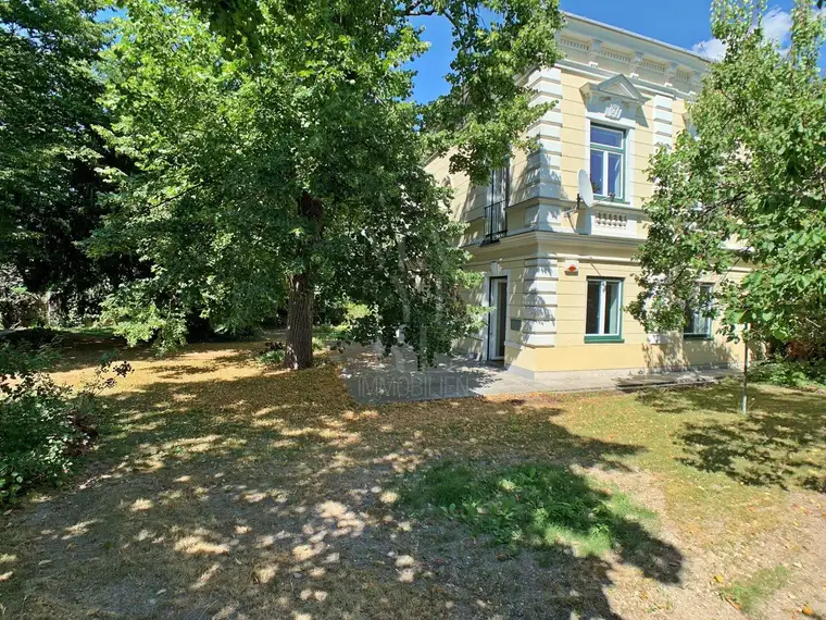 RENOVIERTE ALTBAU VILLA MIT IDYLLISCHEM GARTEN IN DER NÄHE DER FUSSGÄNGERZONE