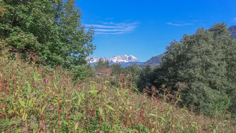 Großzügiges Grundstück mit traumhaftem Ausblick