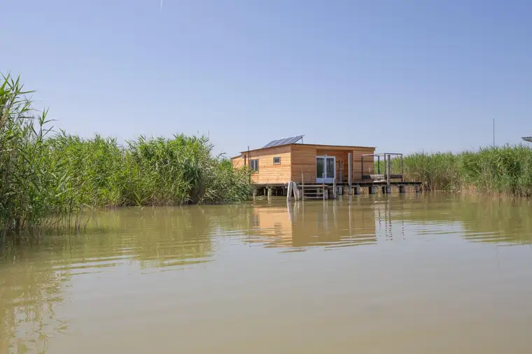 Flachdachhütte in traumhaft ruhiger Lage am offenen See