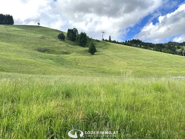 5754 Hinterglemm: Baugrundstück für Naturliebhaber und Ski-Enthusiasten! 700m² sonniges Baugrundstück, neben der Hochalmbahn in Hinterglemm