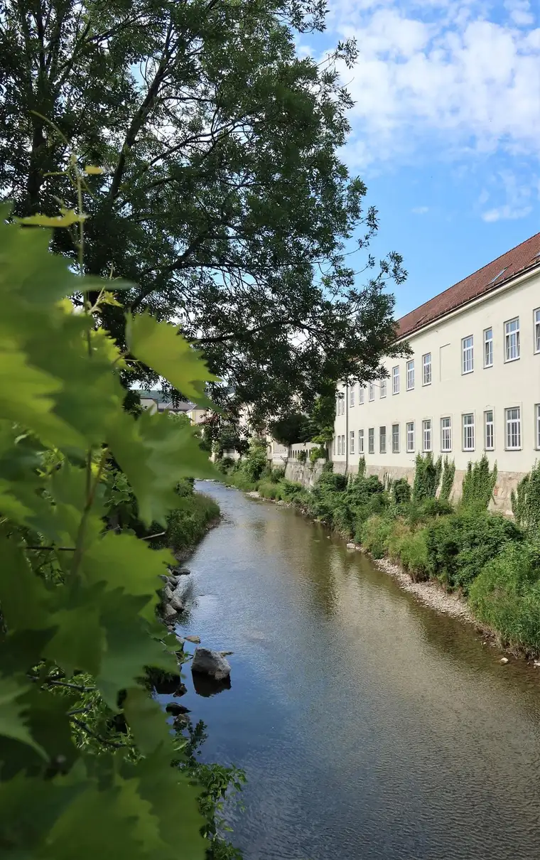 Baden – Zentrum! Bestandsfreie kleine Stadtvilla mit viel Potenzial &amp; Charme
