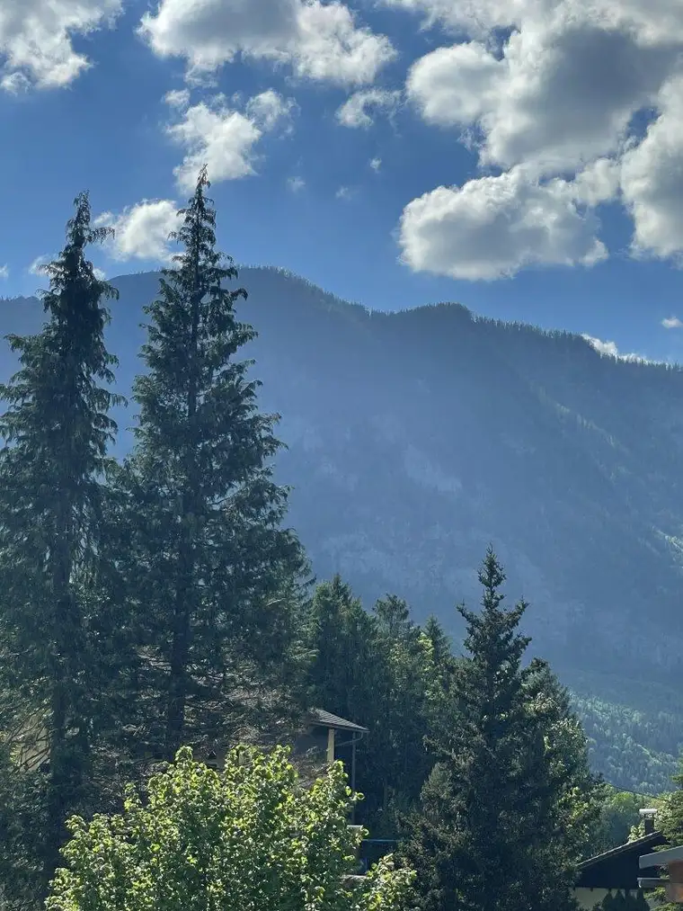 Baugrundstück am Sonnenhang in sonniger und ruhiger Lage
