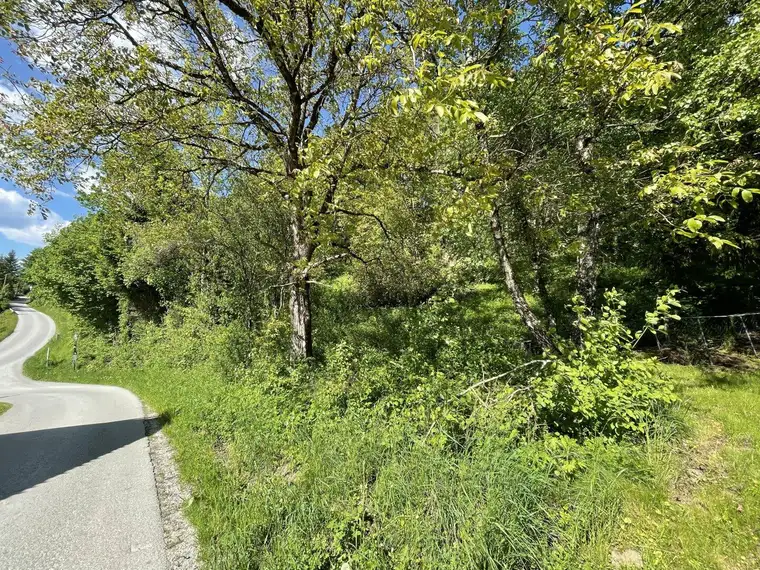 Baugrundstück am Sonnenhang in sonniger und ruhiger Lage