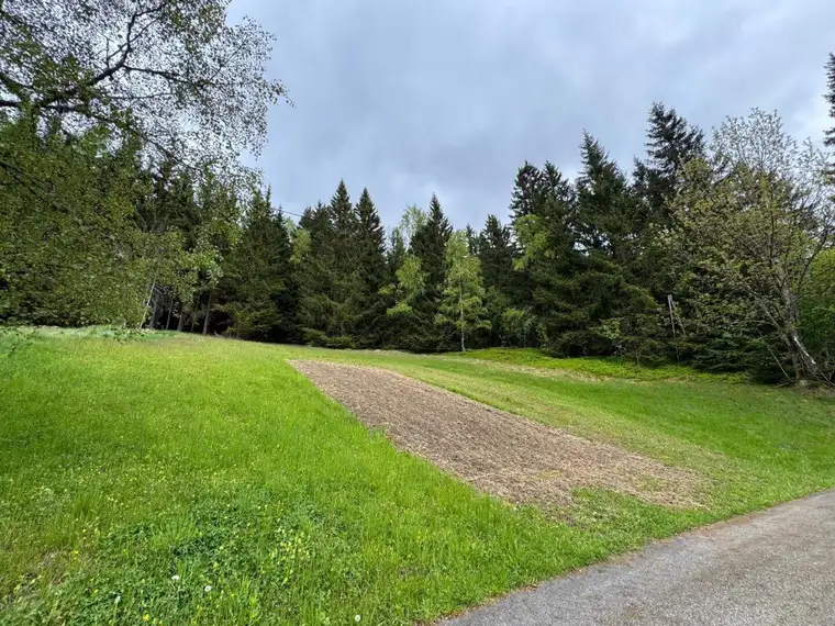Grundstück in Oppenberg mit herrlichem Weitblick auf die umliegenden Berge und die Natur!