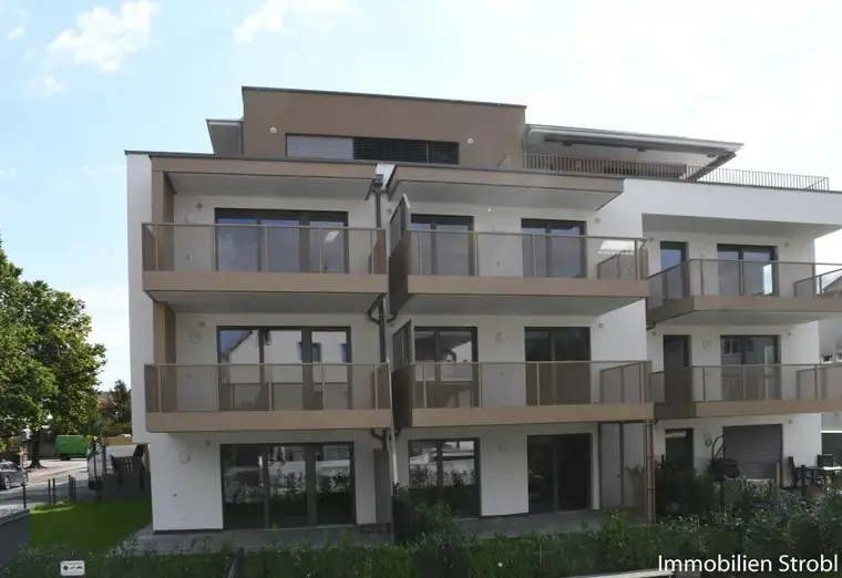 Ing. Mag. Friedrich Strobl, Immobilien Strobl GmbH & Co KG