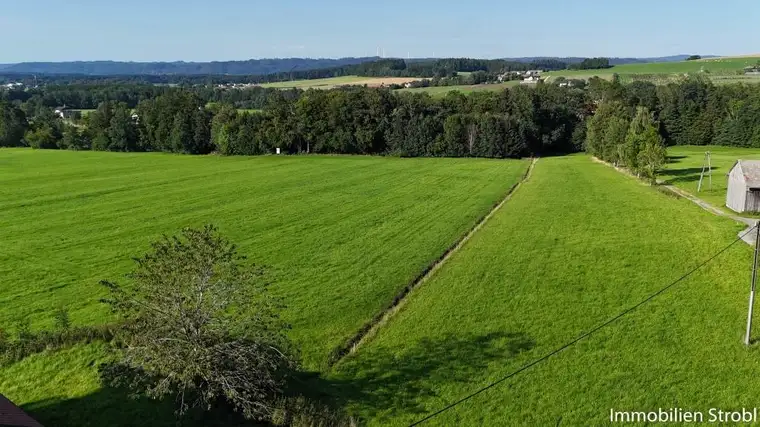 Großzügiges Einfamilienhaus mit Sanierungsbedarf in Naturlage von Lochen am See