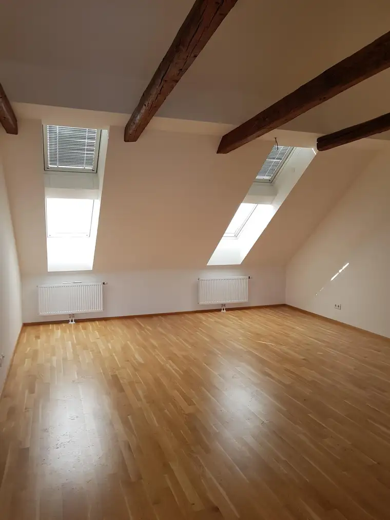 Dachgeschoss - Terrassenwohnung in der Nähe von der Kunst-Uni - Provisionsfrei!