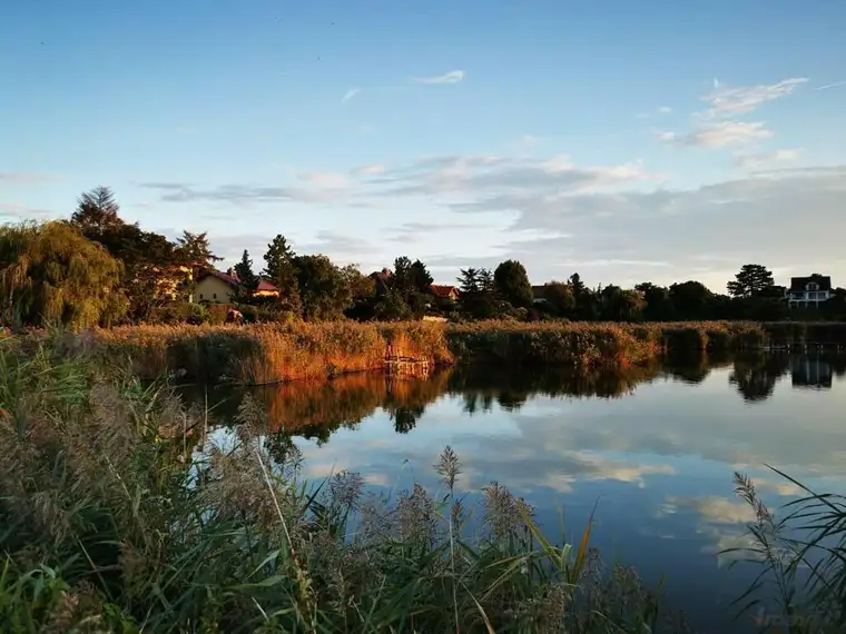 Hennersdorf bei Wien - Großzügiges Seegrundstück für Ihr Traumhaus direkt am Wasser | Hennersdorf near Vienna - Spacious lakeside plot for your dream home right on the water