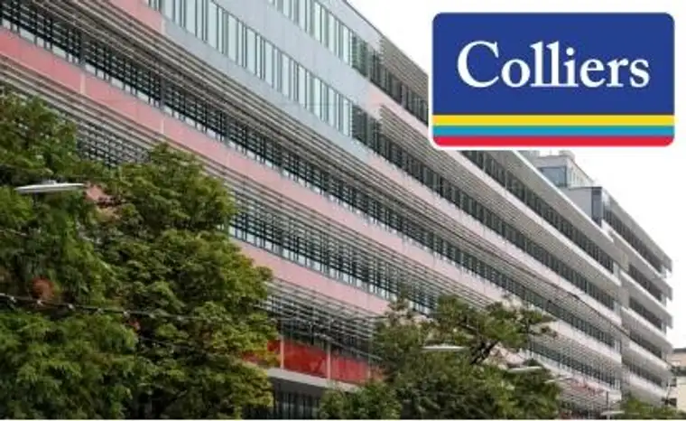 MA Florian Bogner, Colliers