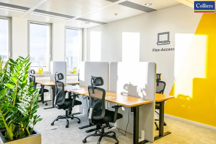 Flexible Workspaces in der Wagenseilgasse | andys.cc | provisionsfrei