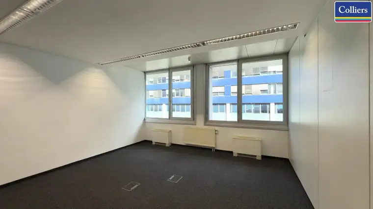 MA Florian Bogner, Colliers